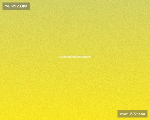 迪马济奥：罗马难以满足狼队对法比奥席尔瓦的高额要价