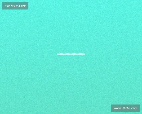 高效整理装备的技巧与方法,提升你的生活与工作效率