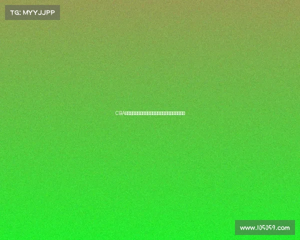 CBA球员效率值分析：全面解读球员表现与赛季成绩的关系